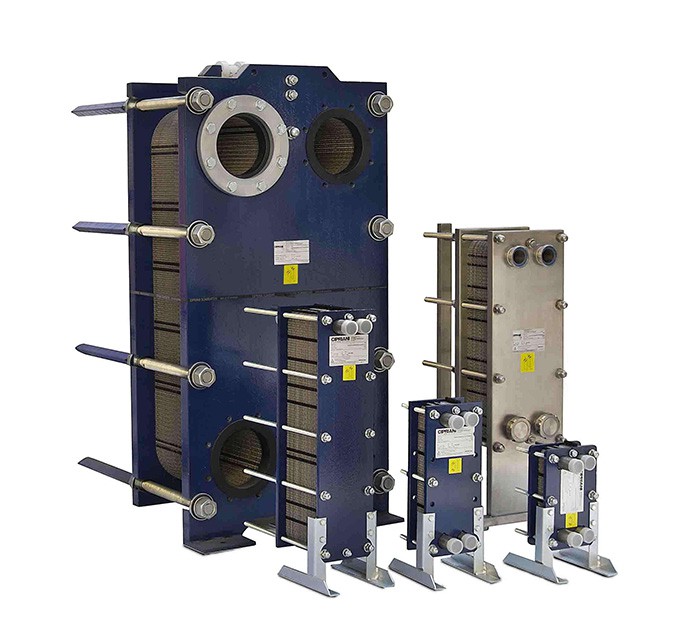 浙江BR成年人在线免费看片